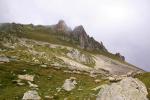 Brebis à l'alpage - Massif de la Lauzière (Alpes)