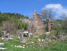 Ruines de la ferme Roche (Plaine d'Herbouilly)