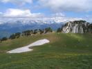 Entrée de l'alpage depuis la croix (Col de l'Alpe)