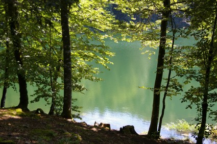 Transparences - Lac de Bonlieu