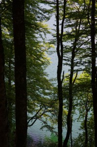 Lac Pavin - Rives