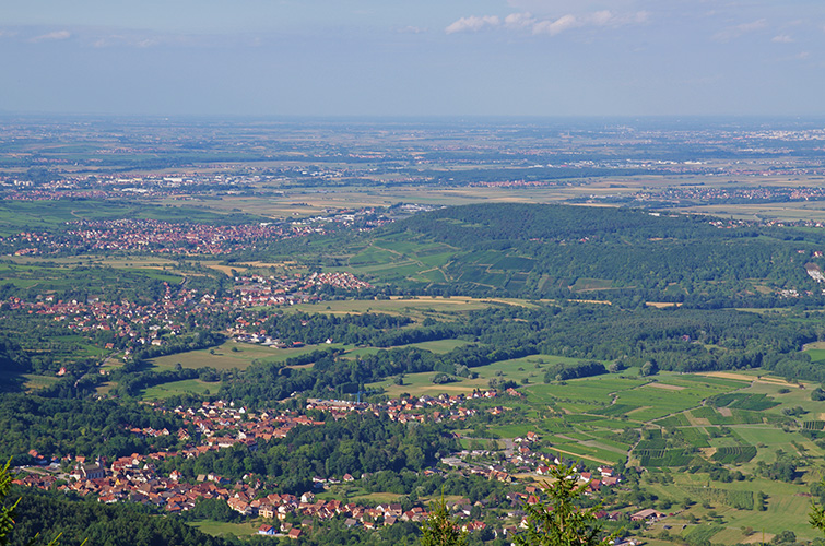 Obernai et la plaine d'Alsace